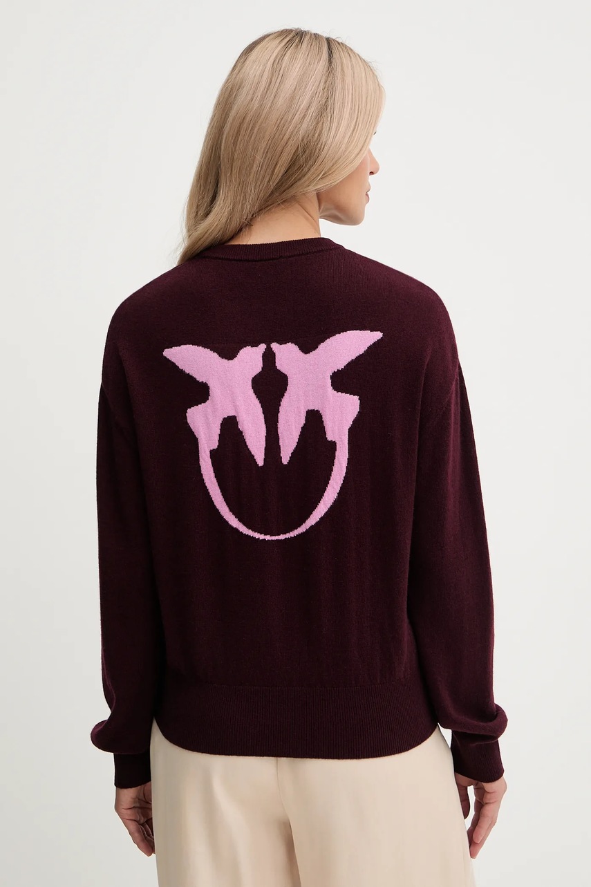 Μάλλινο πουλόβερ Pinko χρώμα: μπορντό, 105561 A2SI φωτογραφία