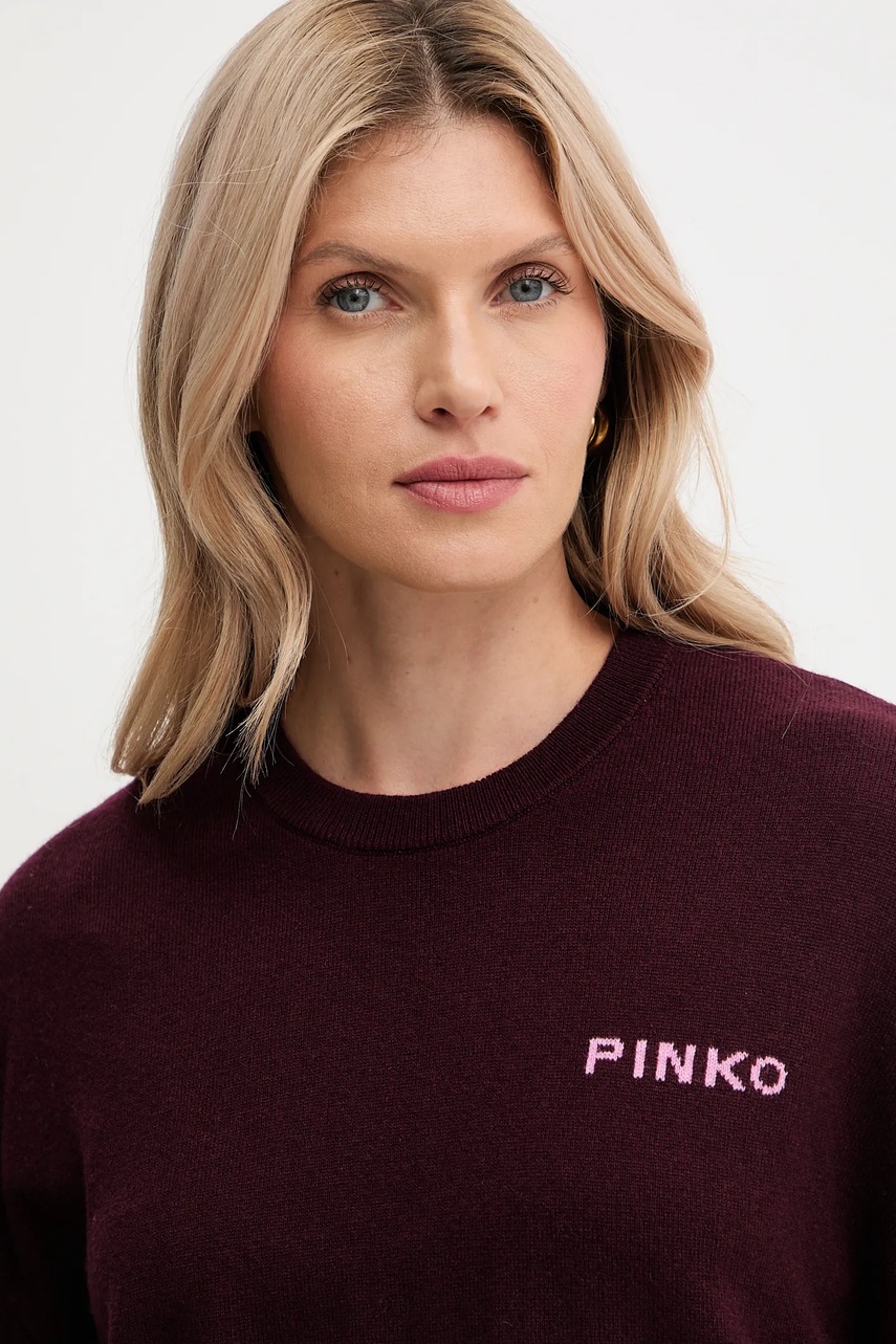Μάλλινο πουλόβερ Pinko χρώμα: μπορντό, 105561 A2SI φωτογραφία