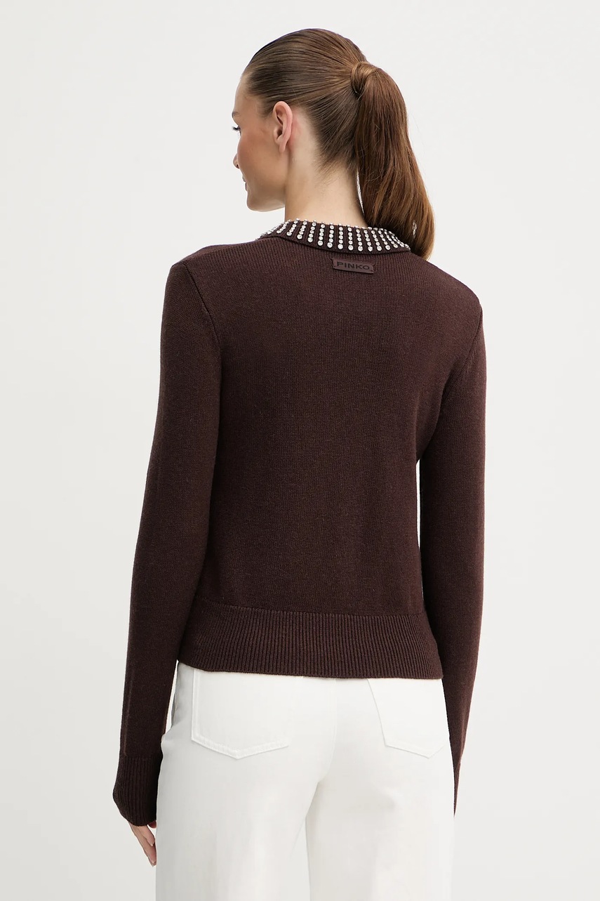 Πουλόβερ με προσθήκη μαλλιού Pinko χρώμα: καφέ, 105530 A2S4 φωτογραφία