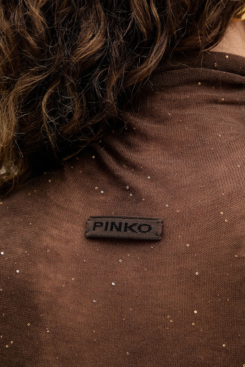 Πουλόβερ Pinko χρώμα: καφέ, 105821 A2PM φωτογραφία