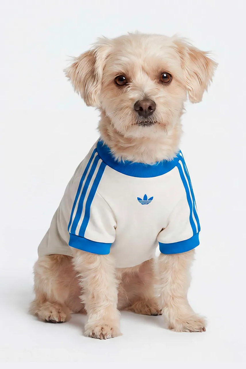 adidas Originals pre domáceho maznáčika Pet Cali