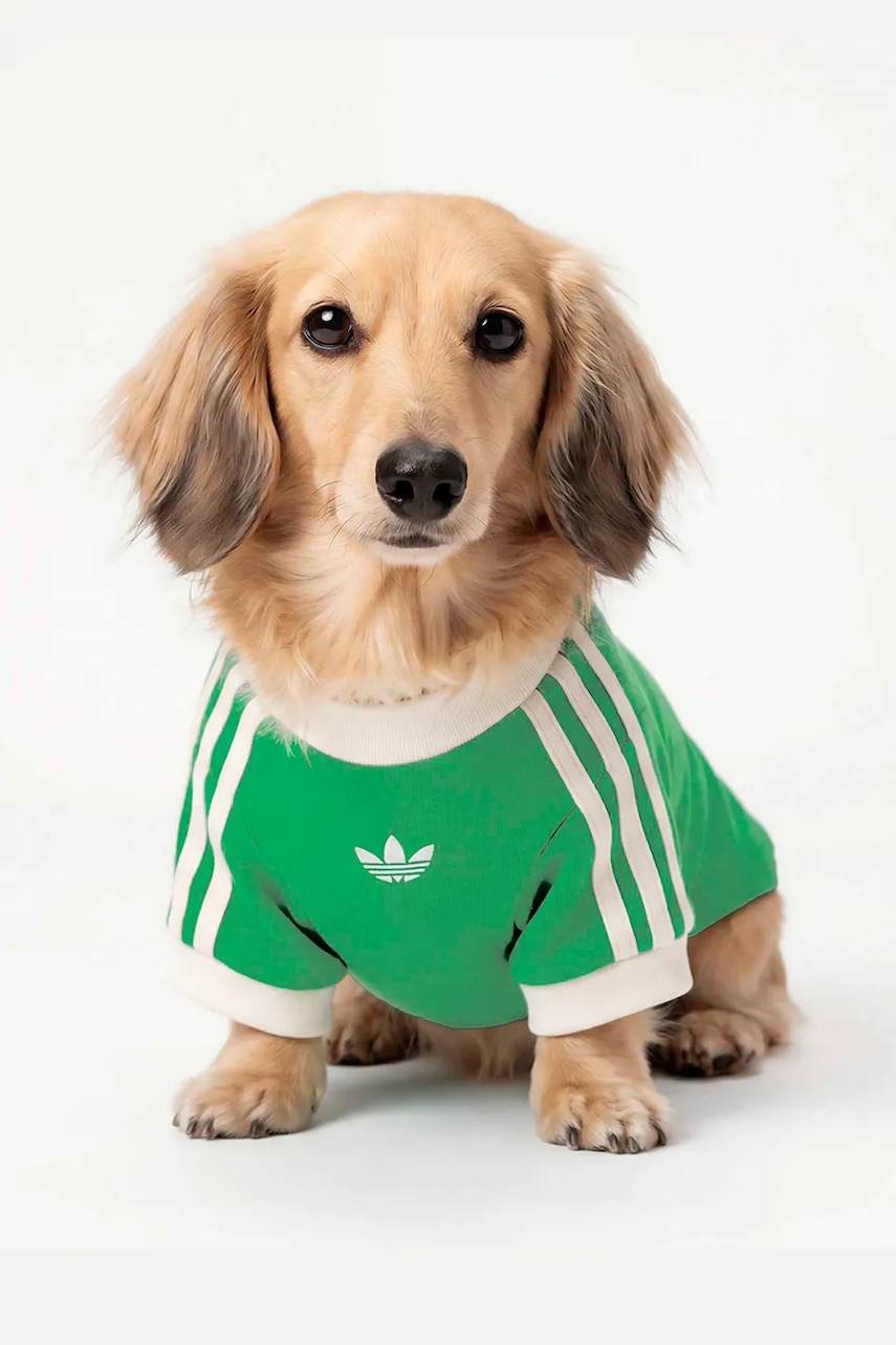 adidas Originals košeľa pre domáceho maznáčika Pet Cali