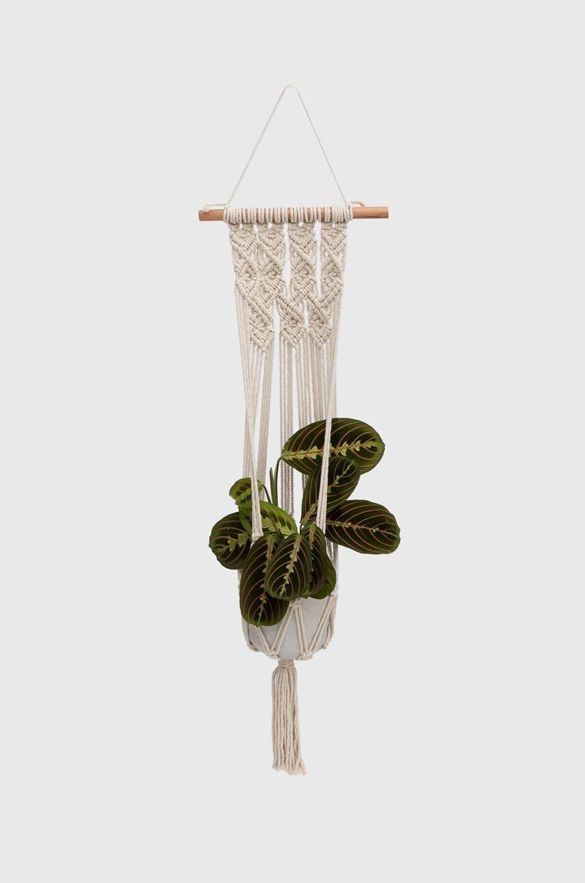 Medicine macrame