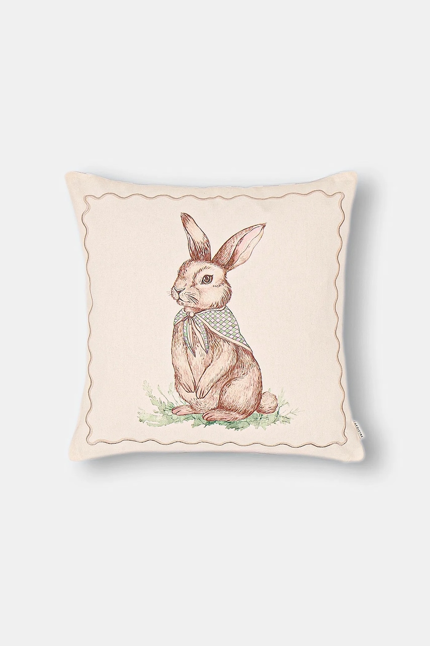 Dekorativní povlak na polštář Medicine