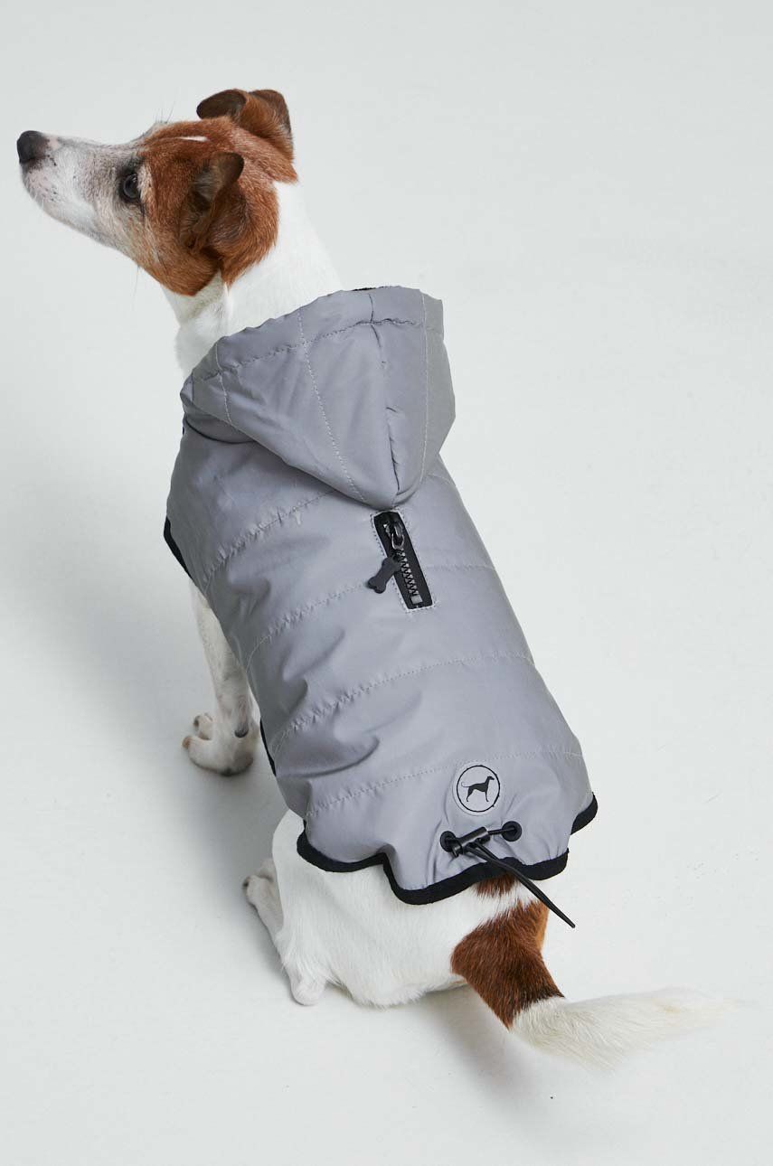 Medicine jachetă pentru un animal de companie Animal imagine noua