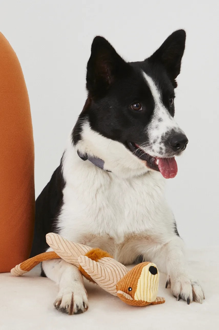 Medicine jucărie pentru un animal de companie