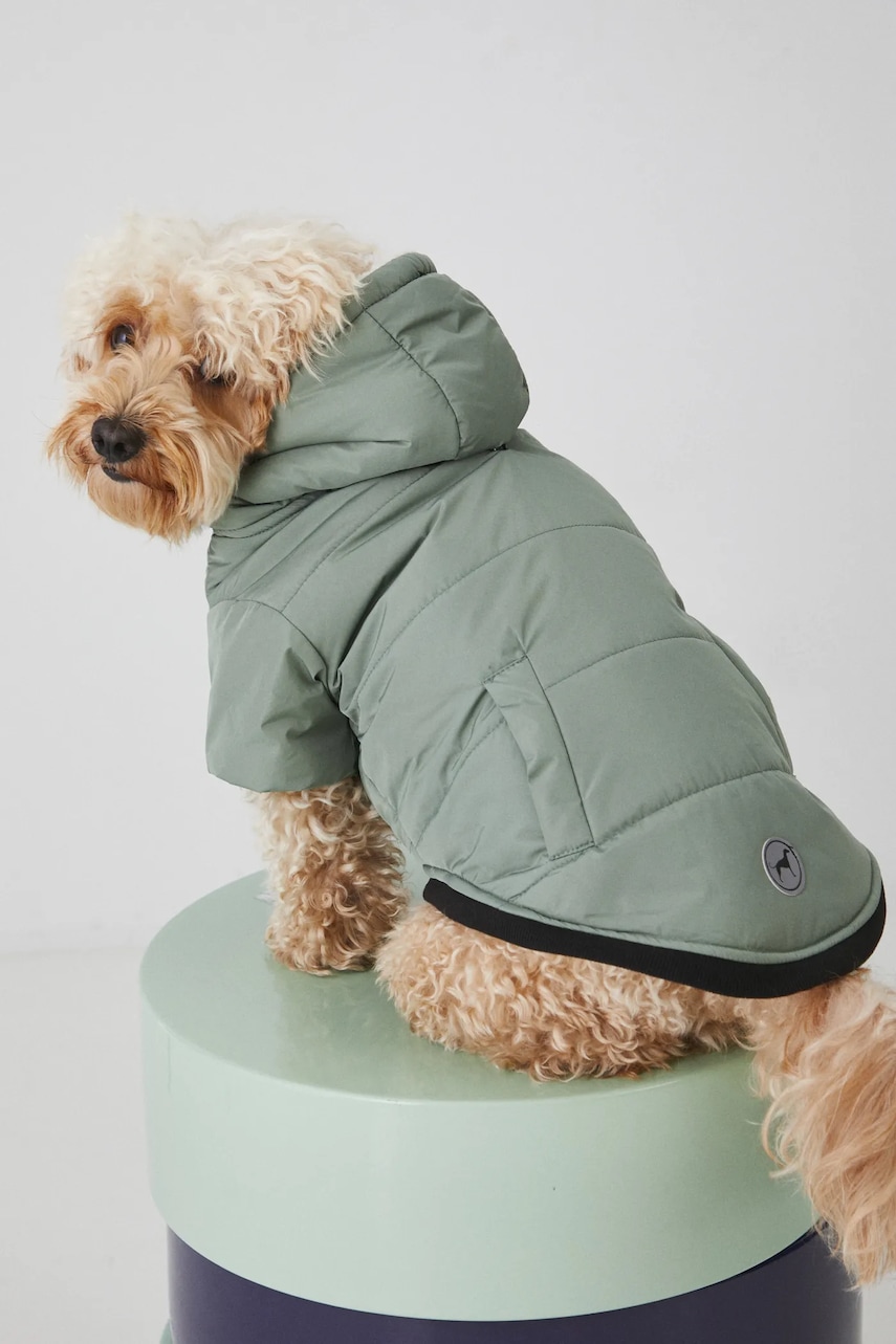 Medicine jachetă pentru un animal de companie