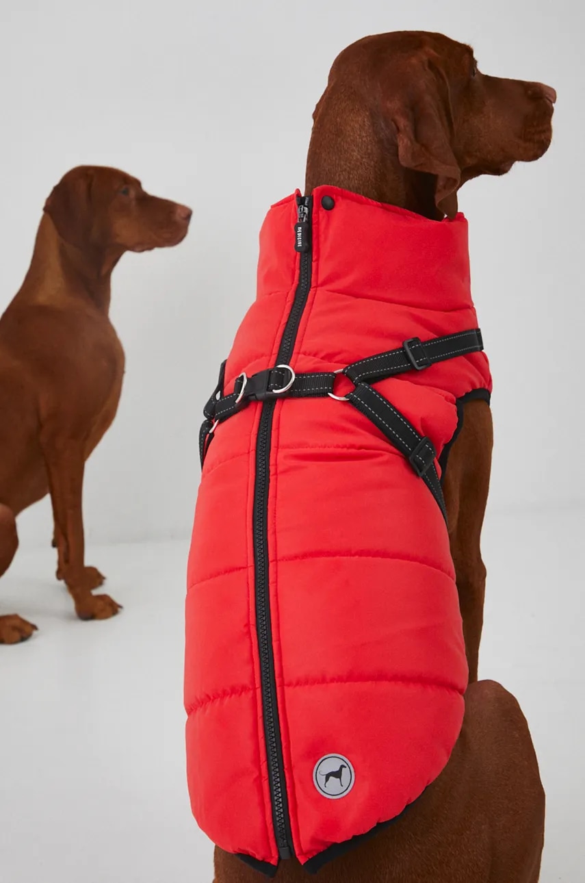 Medicine jachetă pentru un animal de companie