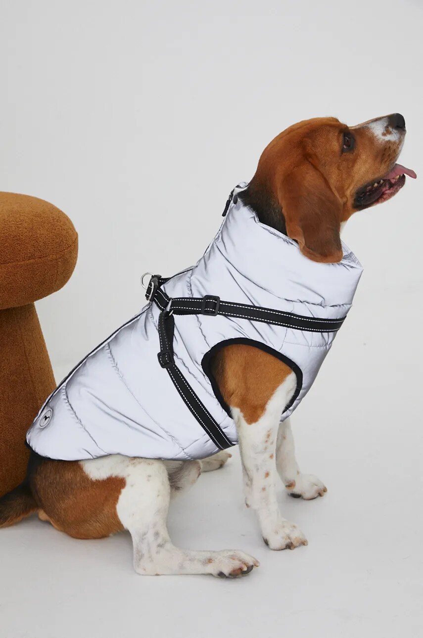 Medicine jachetă pentru un animal de companie