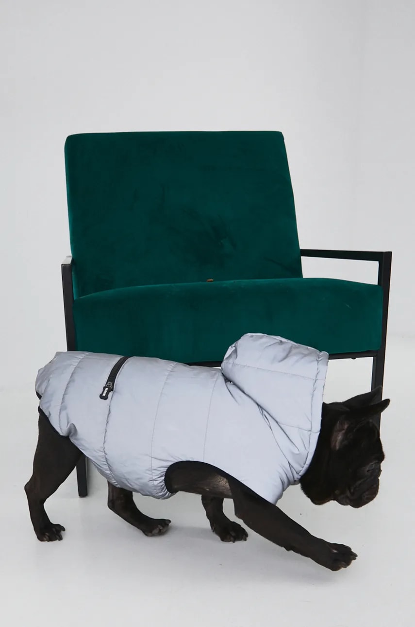 Medicine jachetă pentru un animal de companie