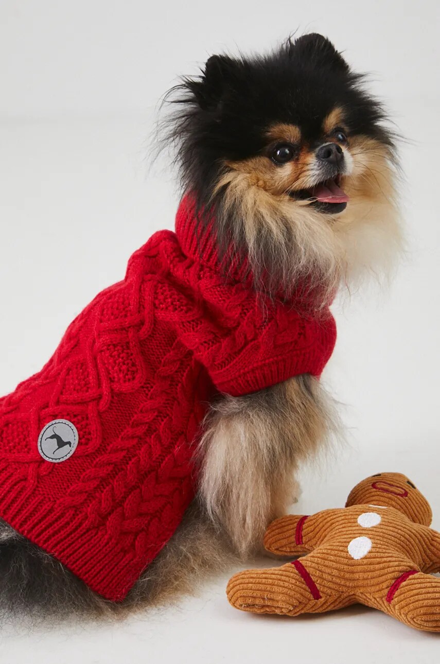 Medicine pulover pentru un animal de companie