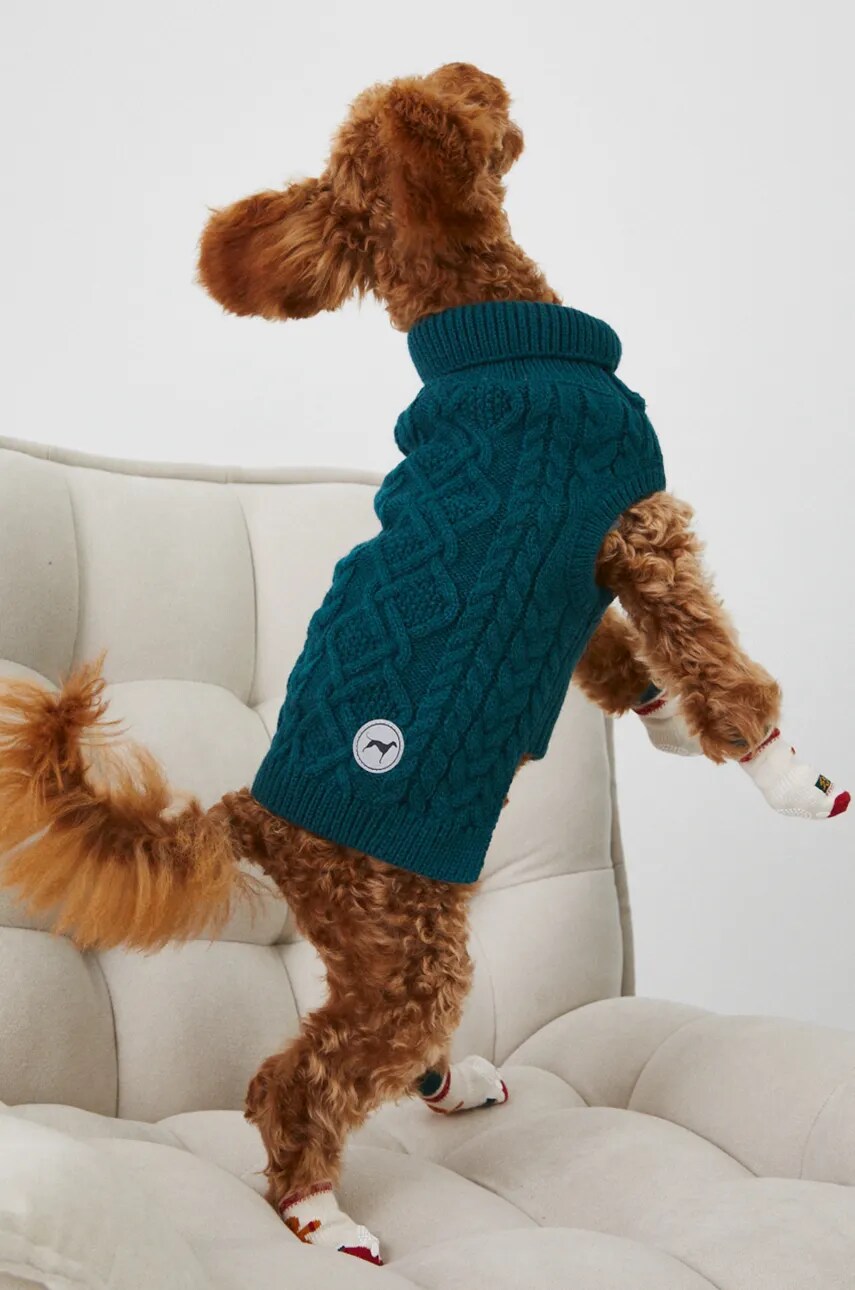 Medicine pulover pentru un animal de companie