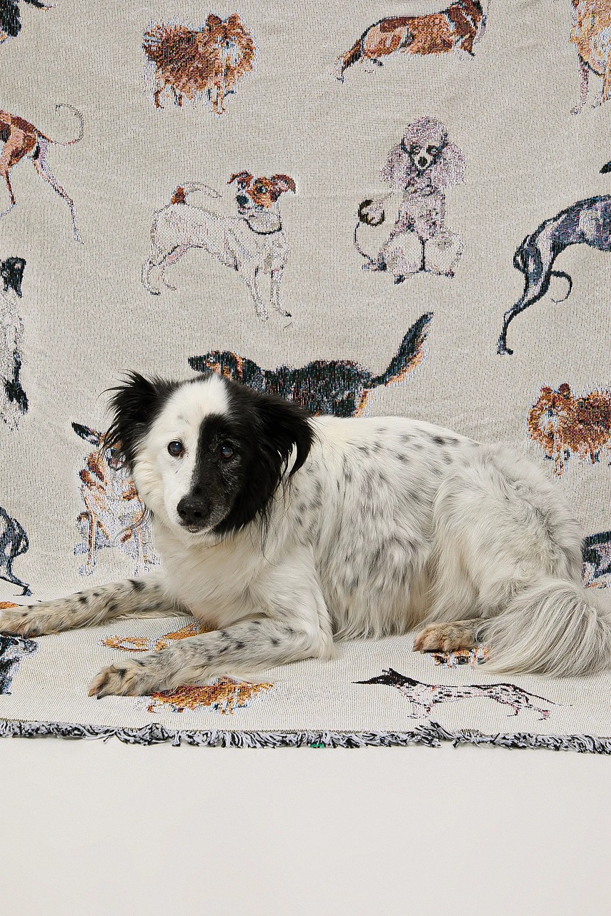 Žakárová deka Medicine 130 x 160 cm (obrázek 4)