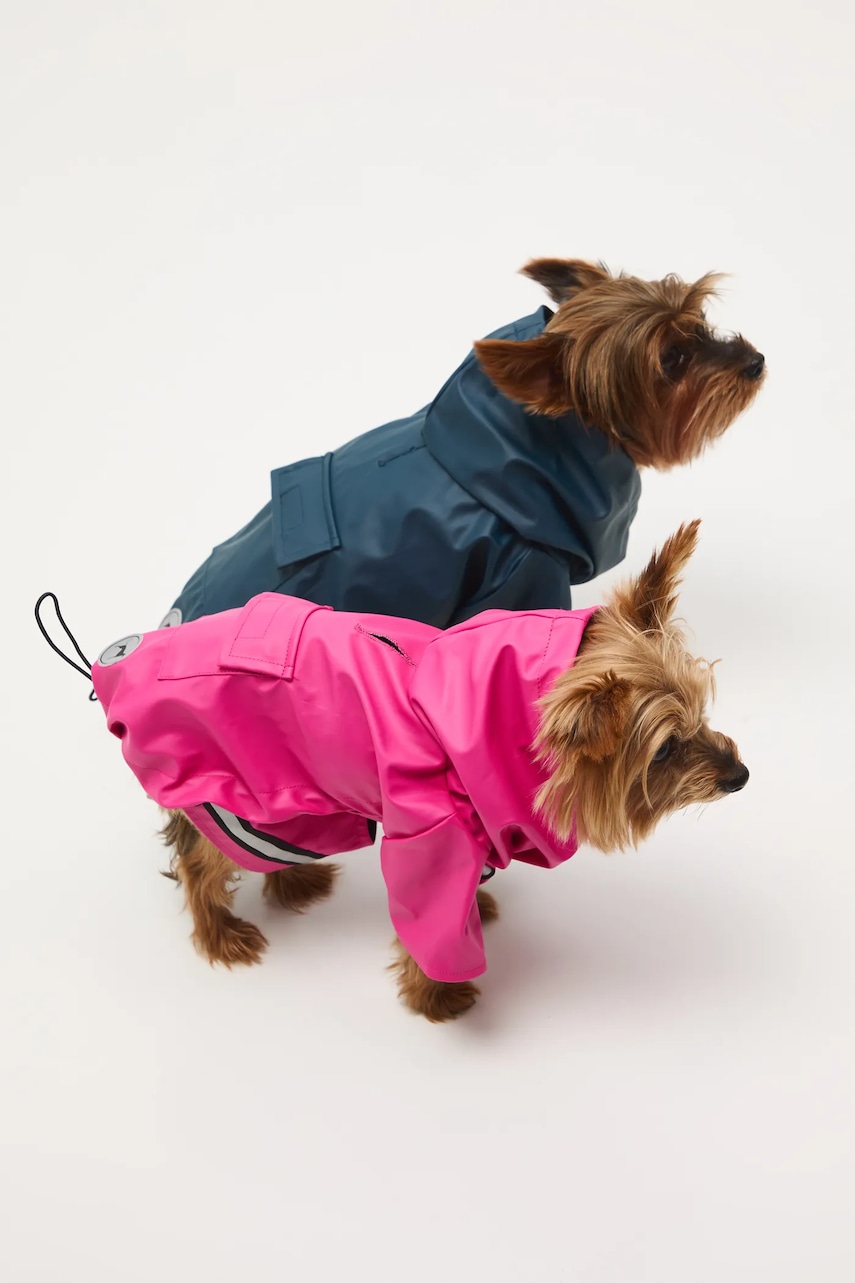 Medicine jachetă pentru un animal de companie