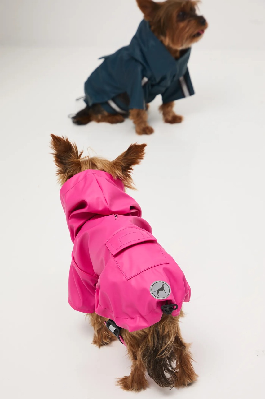 Μπουφάν για κατοικίδιο Medicine φωτογραφία