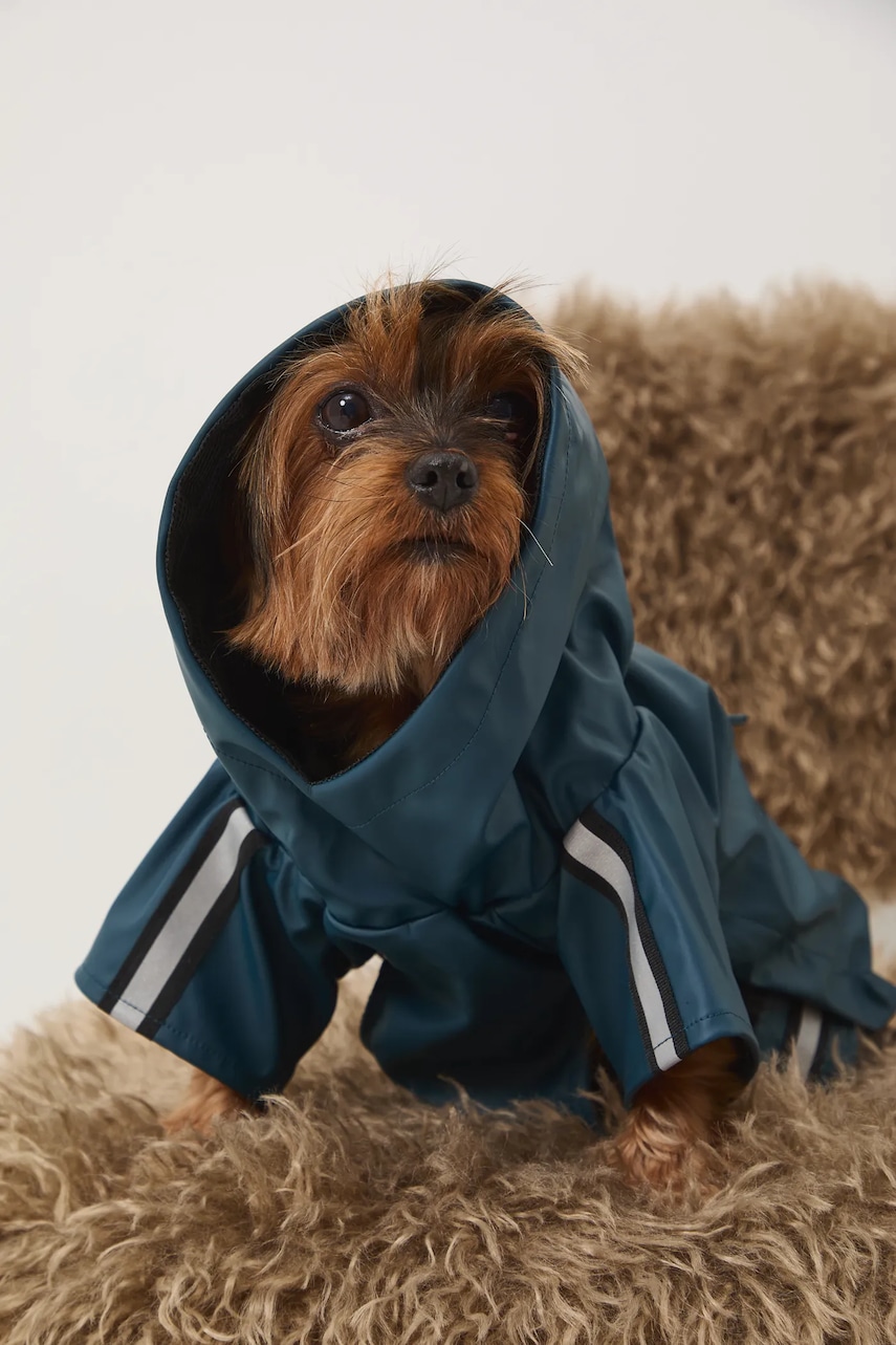 Medicine jachetă pentru un animal de companie