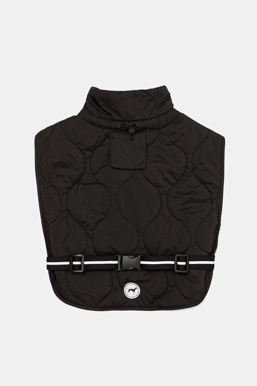 Μπουφάν για κατοικίδιο Medicine φωτογραφία