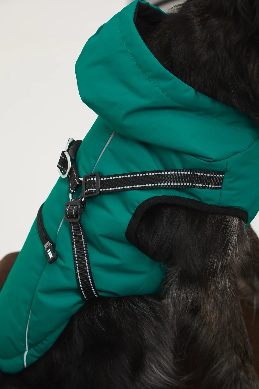 Μπουφάν για κατοικίδιο Medicine φωτογραφία