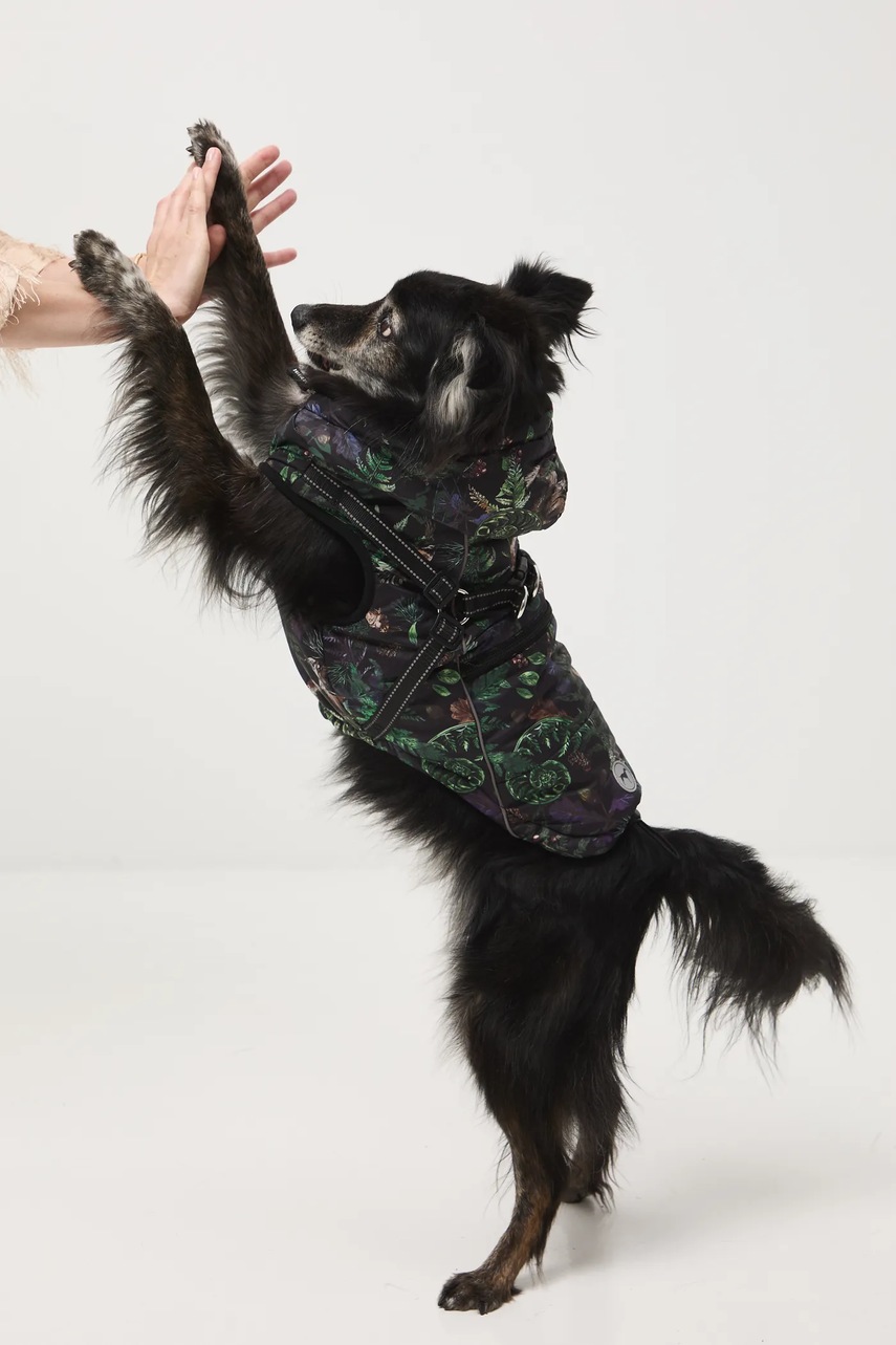 Bunda pro mazlíčka Medicine