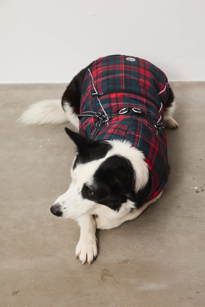 Bunda pro mazlíčka Medicine