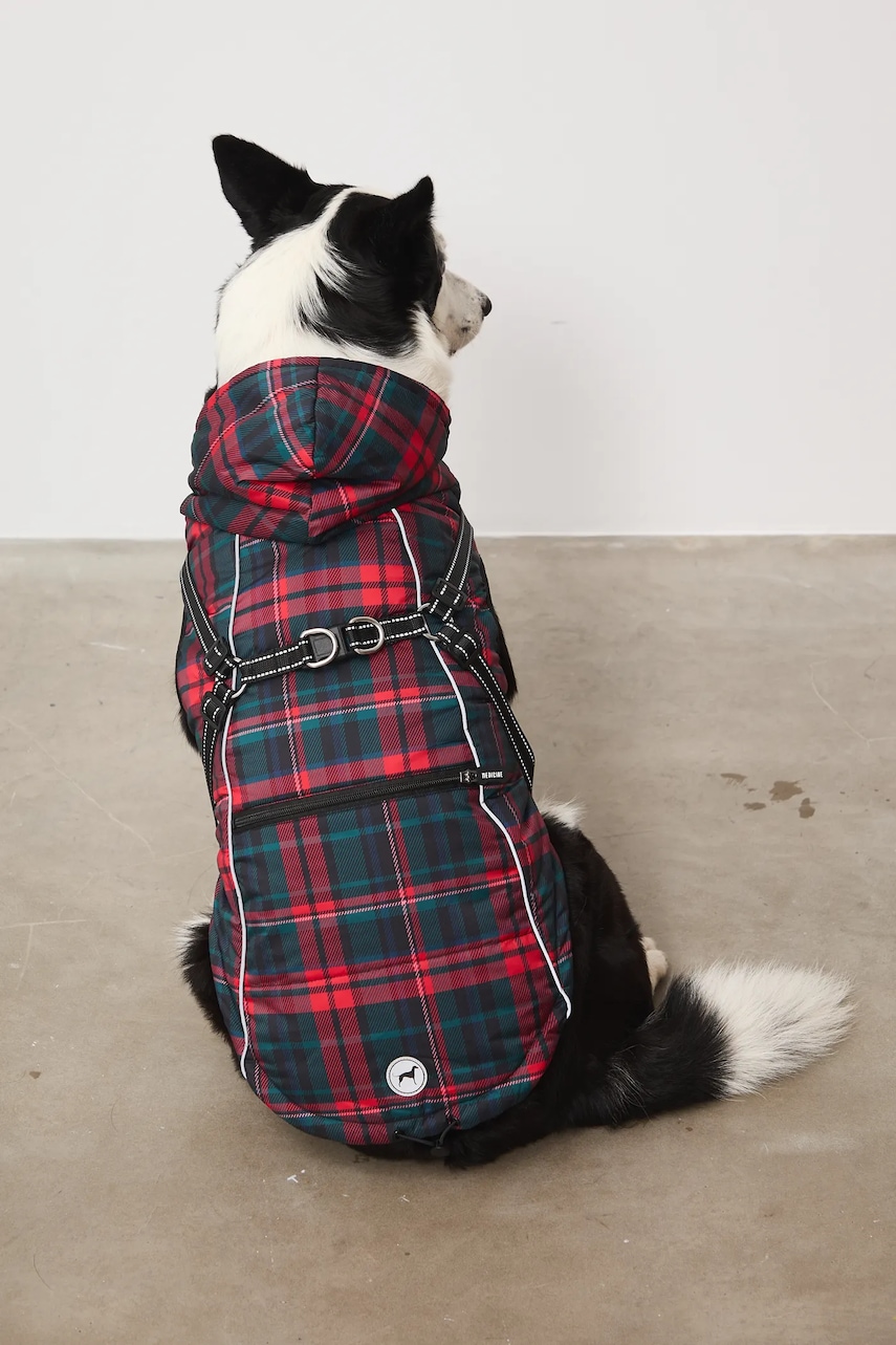 Bunda pro mazlíčka Medicine