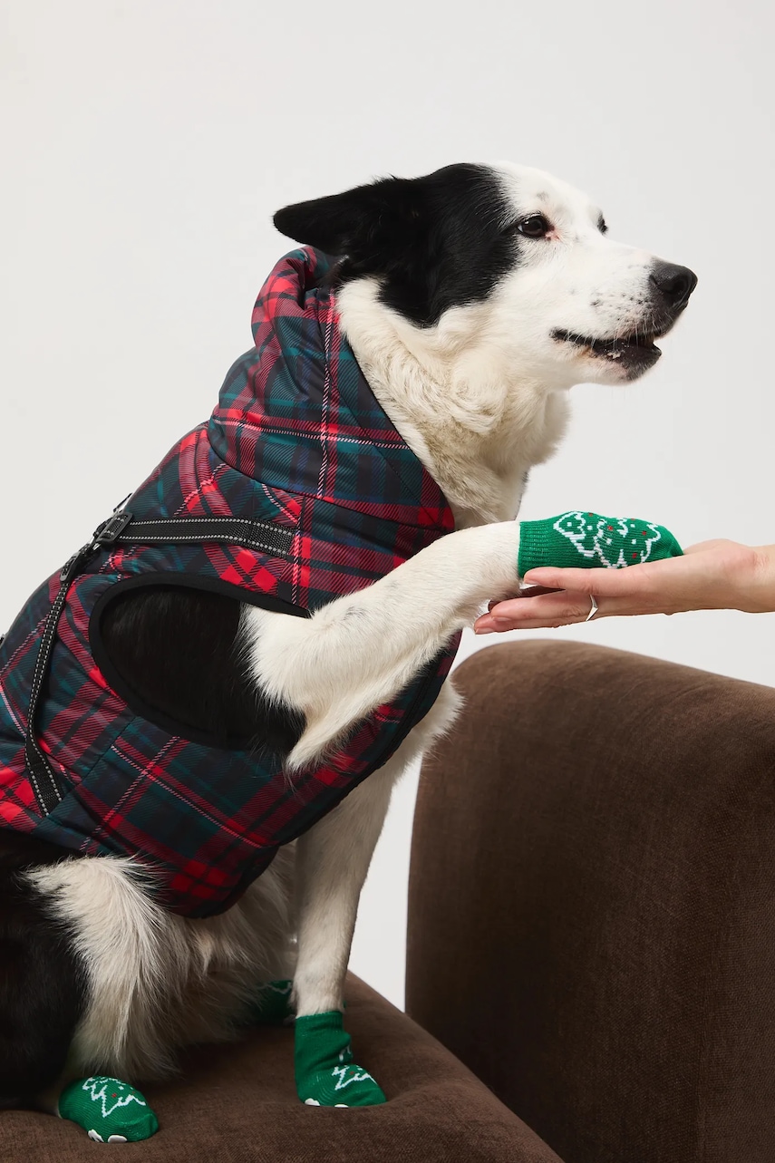 Bunda pro mazlíčka Medicine