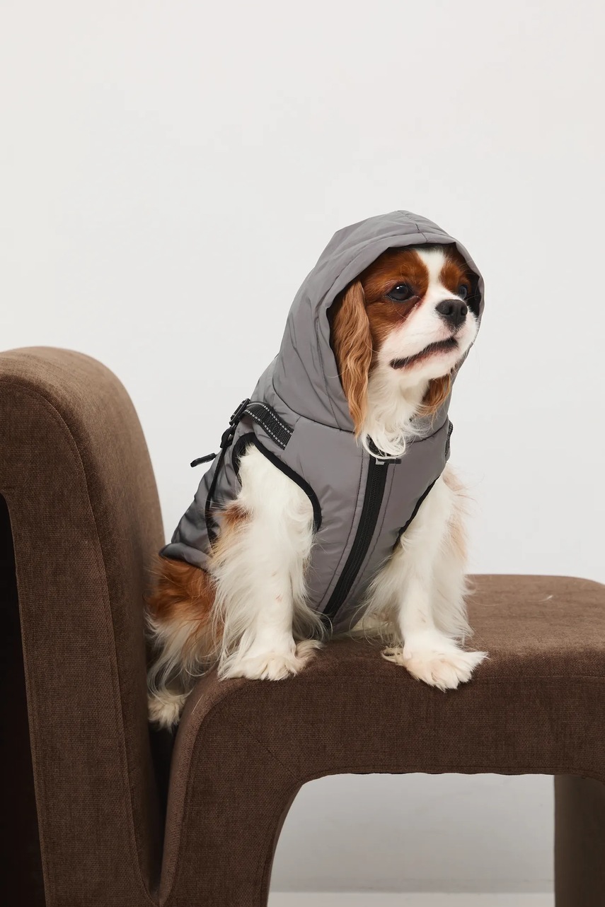 Bunda pro mazlíčka Medicine (obrázek 4)