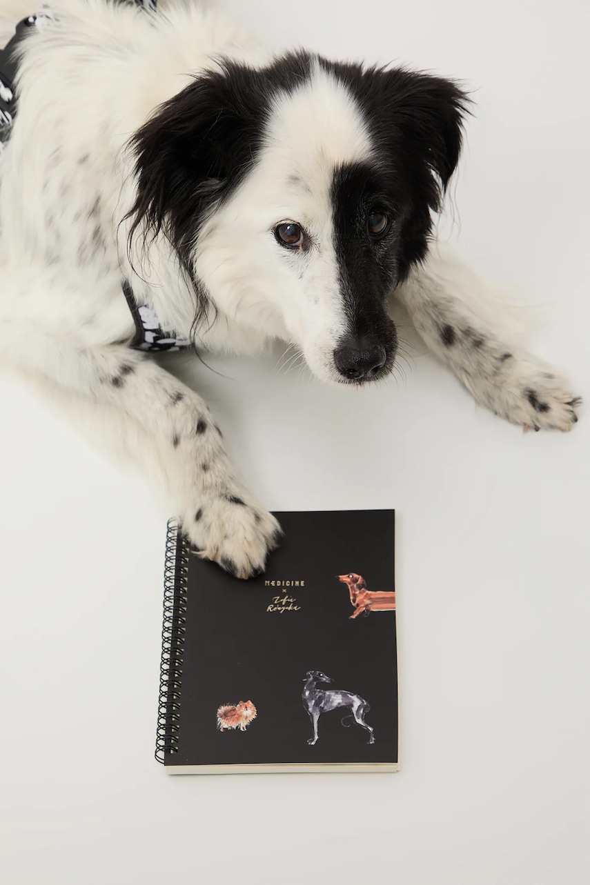 Medicine caiet culoarea negru