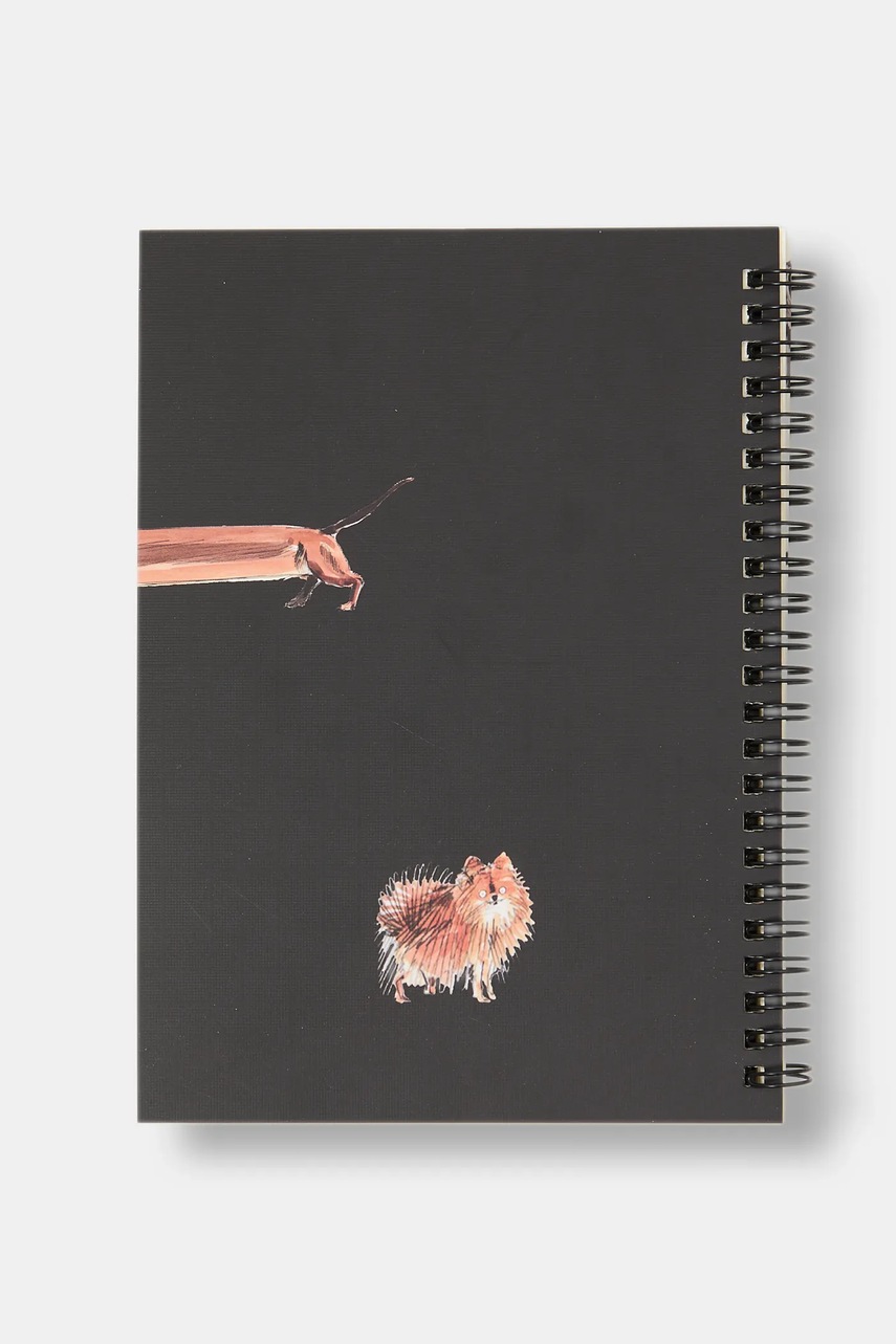 Zápisník Medicine (obrázek 3)