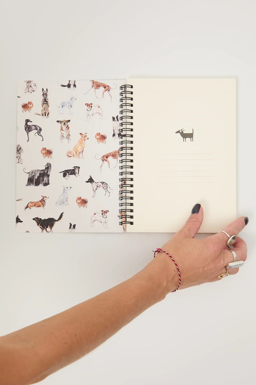 Zápisník Medicine (obrázek 5)