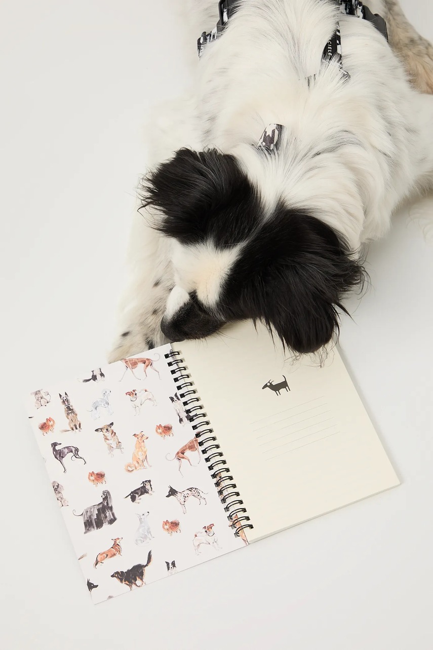 Zápisník Medicine (obrázek 6)