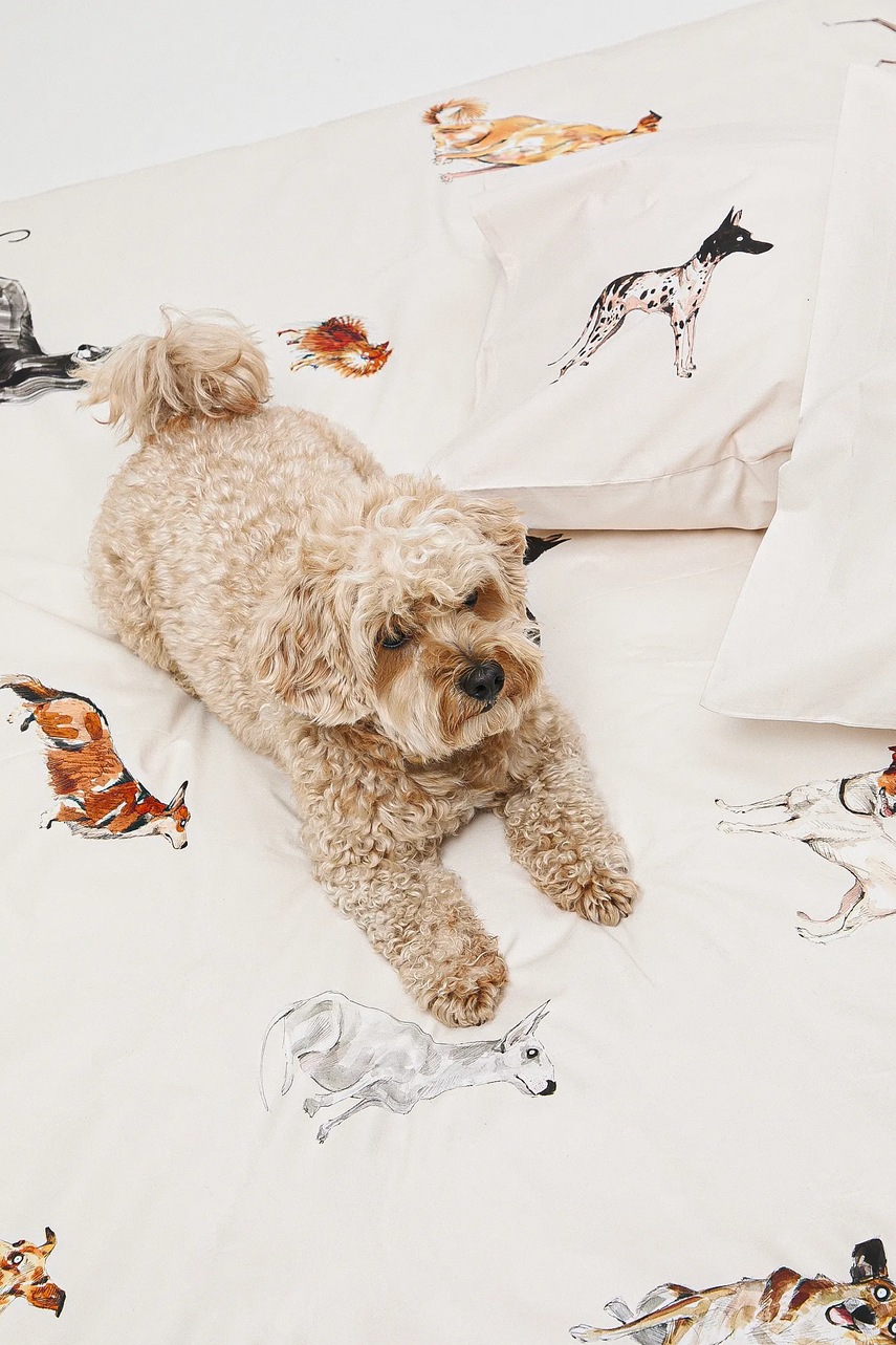 Σετ βαμβακερά κλινοσκεπάσματα Medicine 50 x 60 cm / 200 x 200 cm φωτογραφία