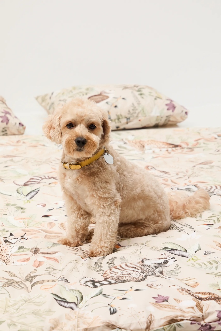 Σετ βαμβακερά κλινοσκεπάσματα Medicine 200 x 200 cm φωτογραφία