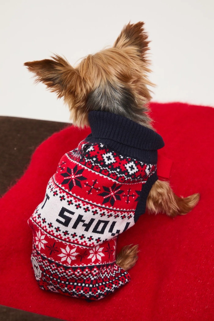 Πουλόβερ για κατοικίδιο Medicine φωτογραφία