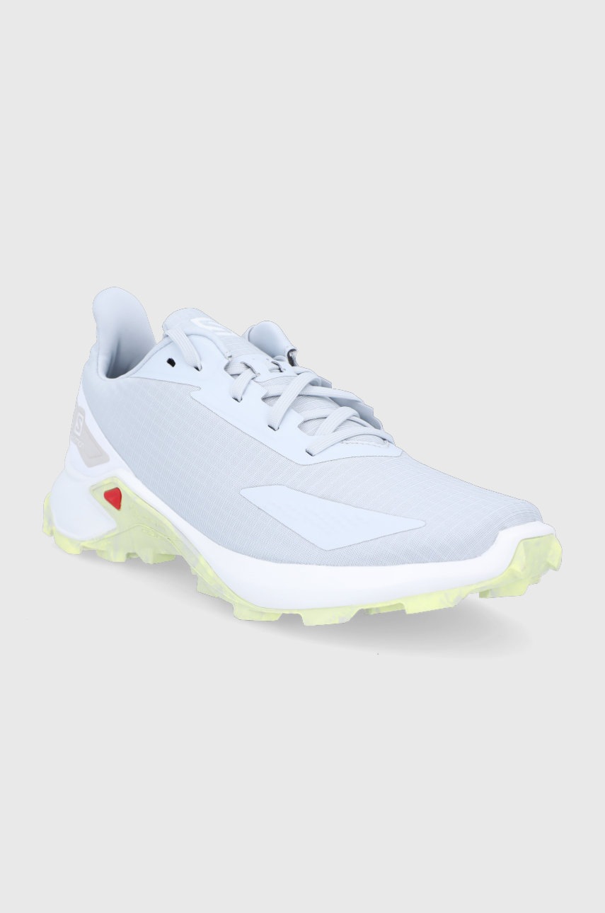 

Черевики Salomon Alphacross Blast жіночі колір сірий