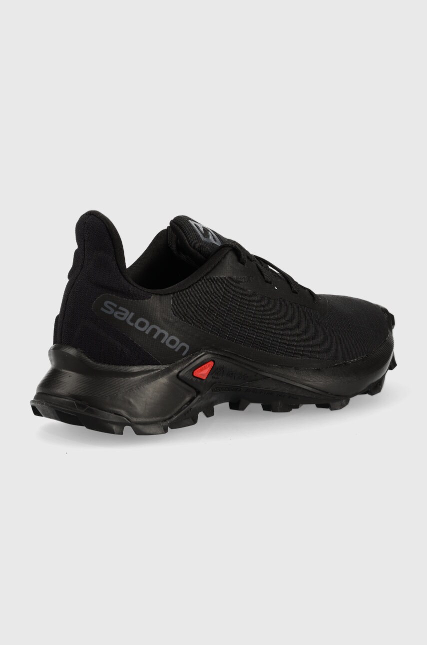 

Черевики Salomon Alphacross 3 жіночі колір чорний