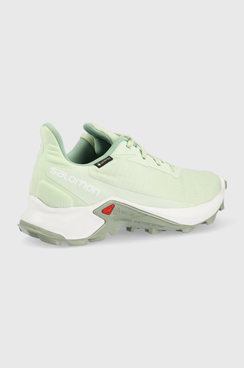 

Ботинки Salomon Alphacross 3 Gtx женские цвет зелёный