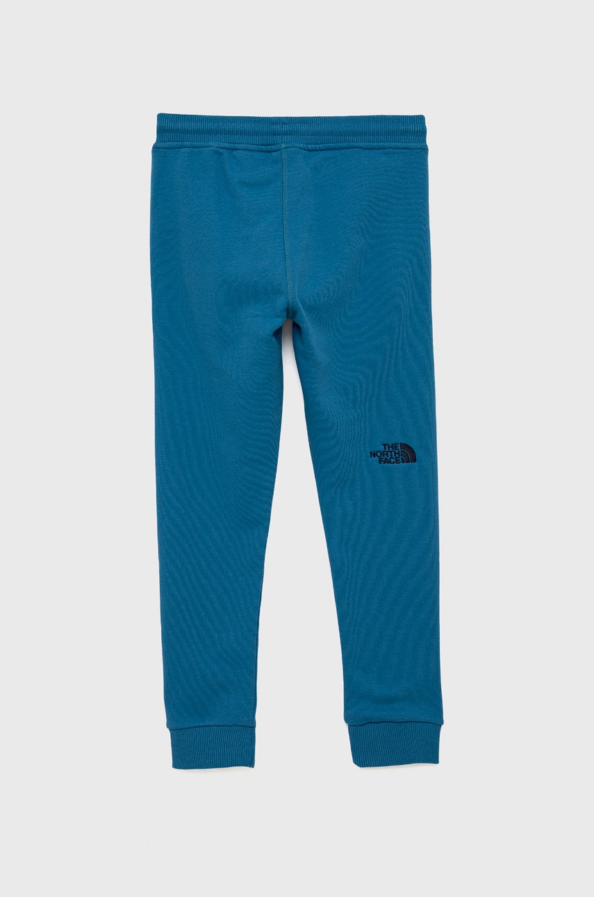 

Детские спортивные штаны The North Face с аппликацией