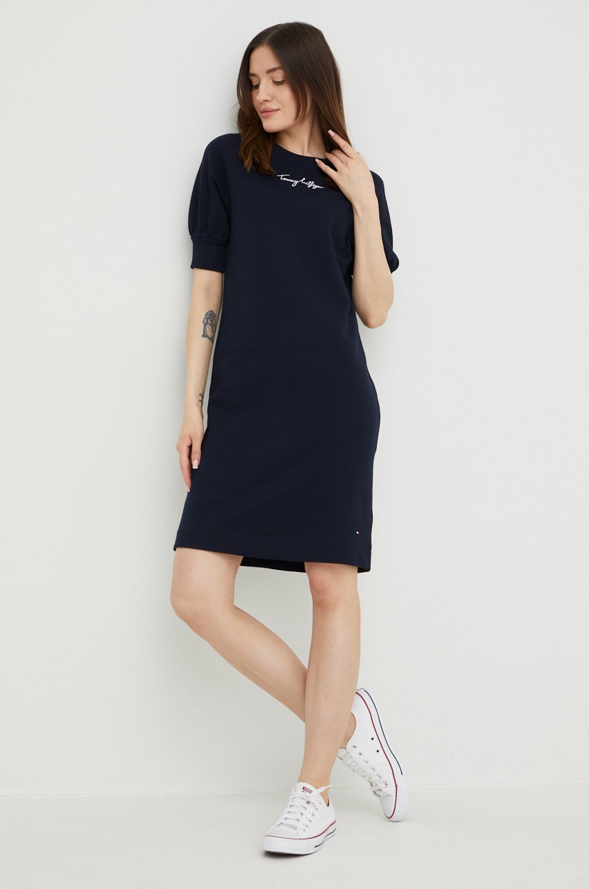 

Бавовняна сукня Tommy Hilfiger колір синій mini пряма