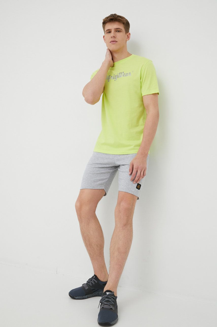 Bavlněné tričko RefrigiWear zelená barva, s potiskem - zelená -  100% Bavlna