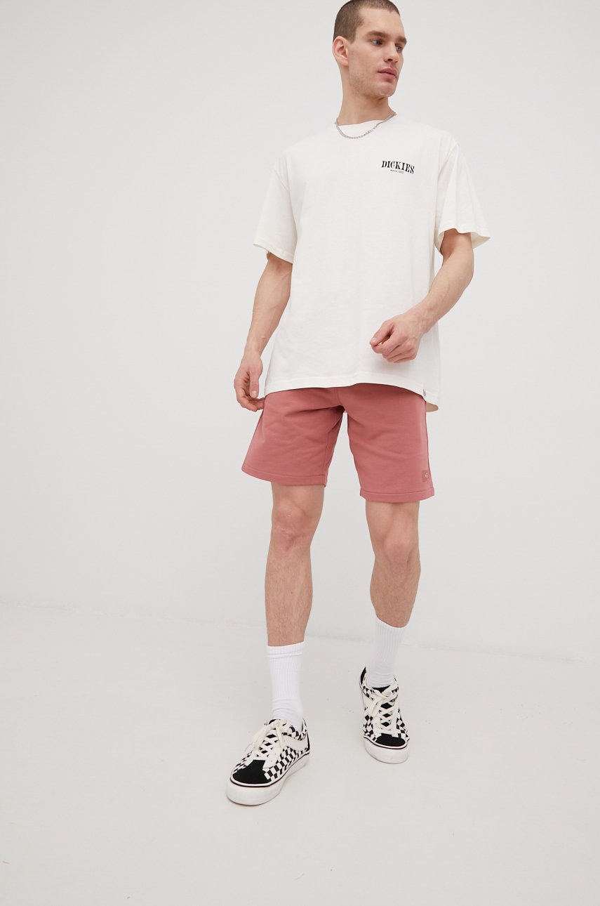 

Хлопковая футболка Dickies цвет бежевый с принтом
