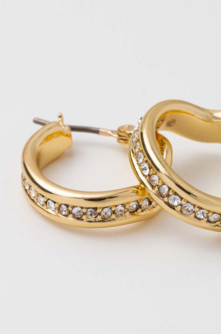 Σκουλαρίκια DKNY φωτογραφία