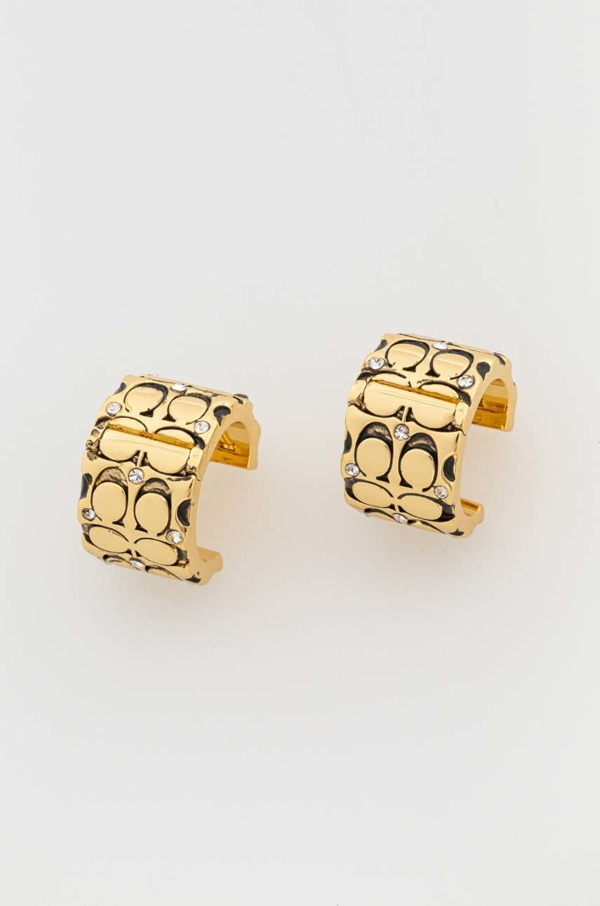 

Сережки Coach
