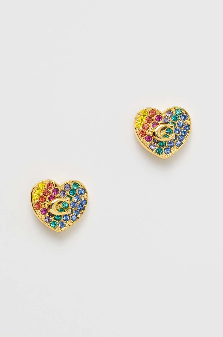 

Сережки Coach