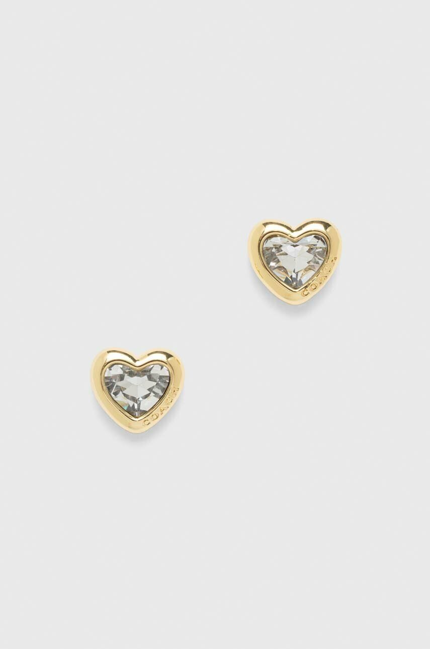 

Сережки Coach