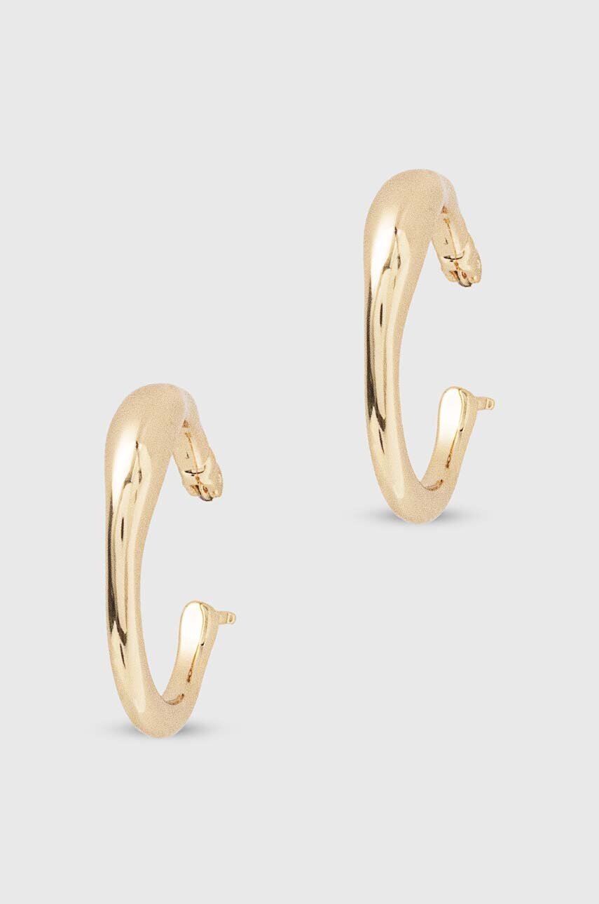 

Сережки Dkny