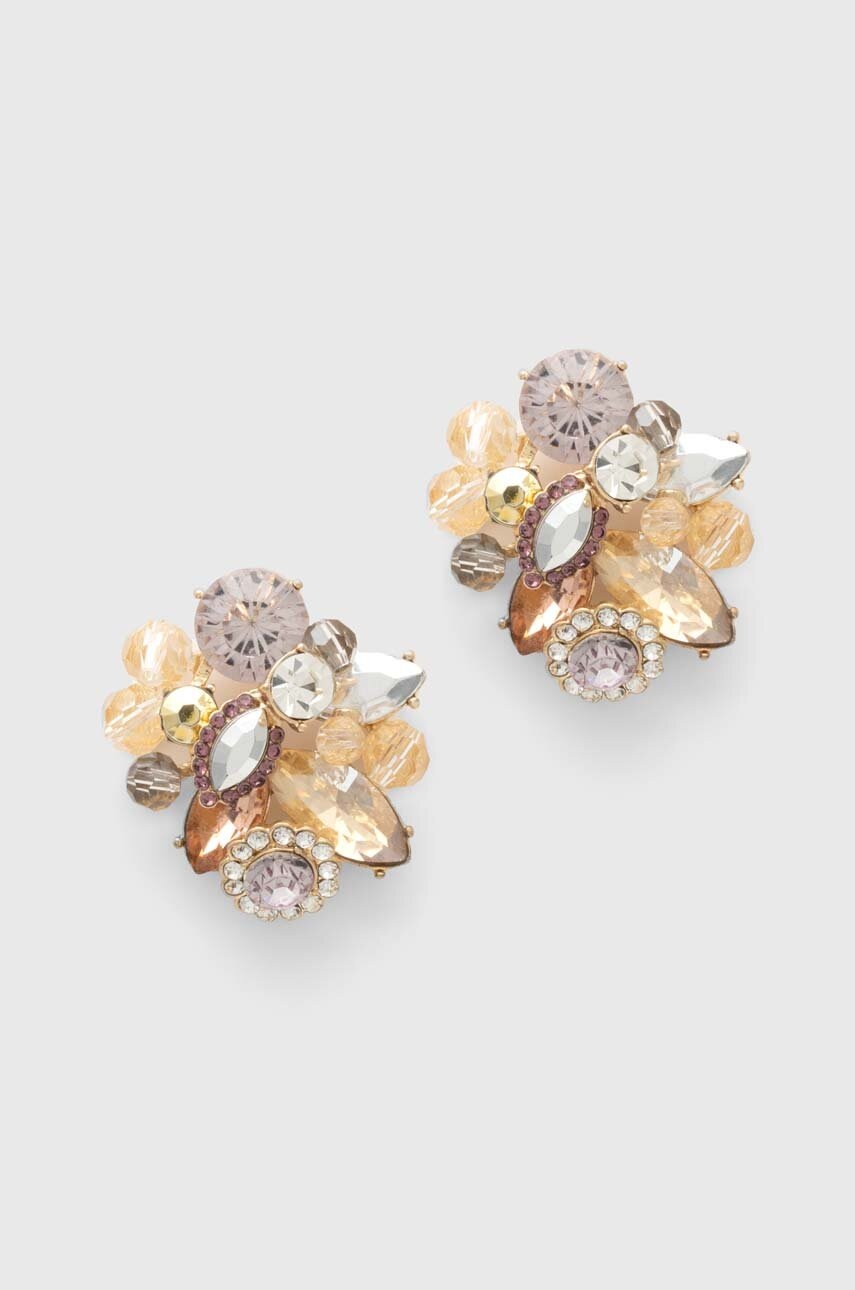 

Сережки Aldo ANDERE ANDERE.680