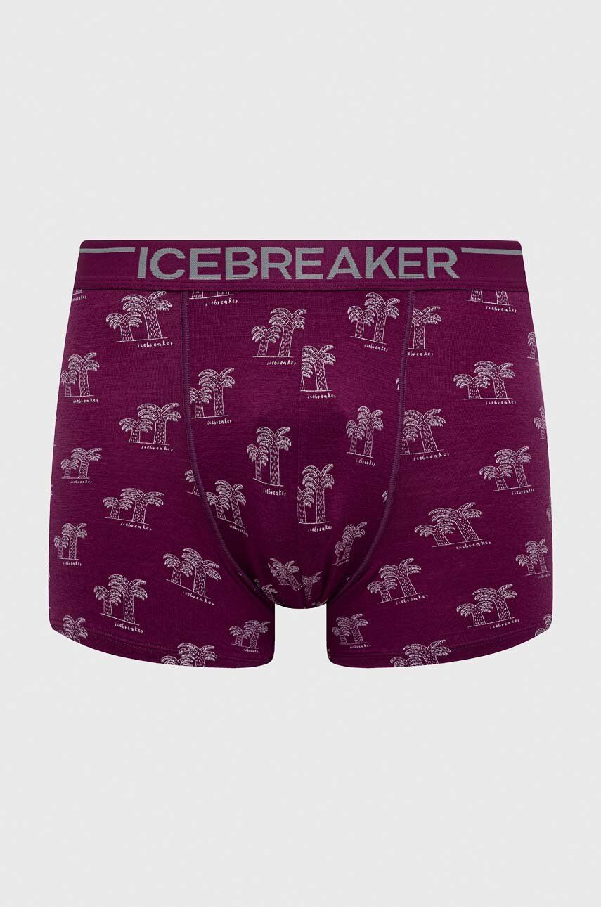 Icebreaker lenjerie functionala Merino Anatomica culoarea violet