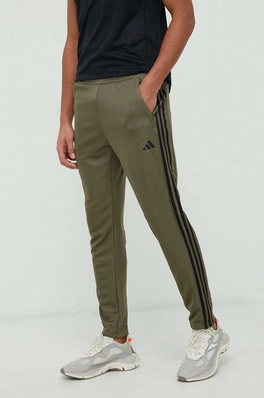 Adidas Performance pantaloni de antrenament Train Essentials barbati, culoarea verde, cu imprimeu