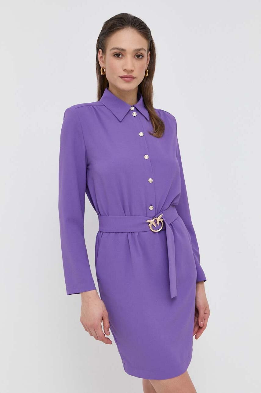 

Сукня Pinko колір фіолетовий mini пряма